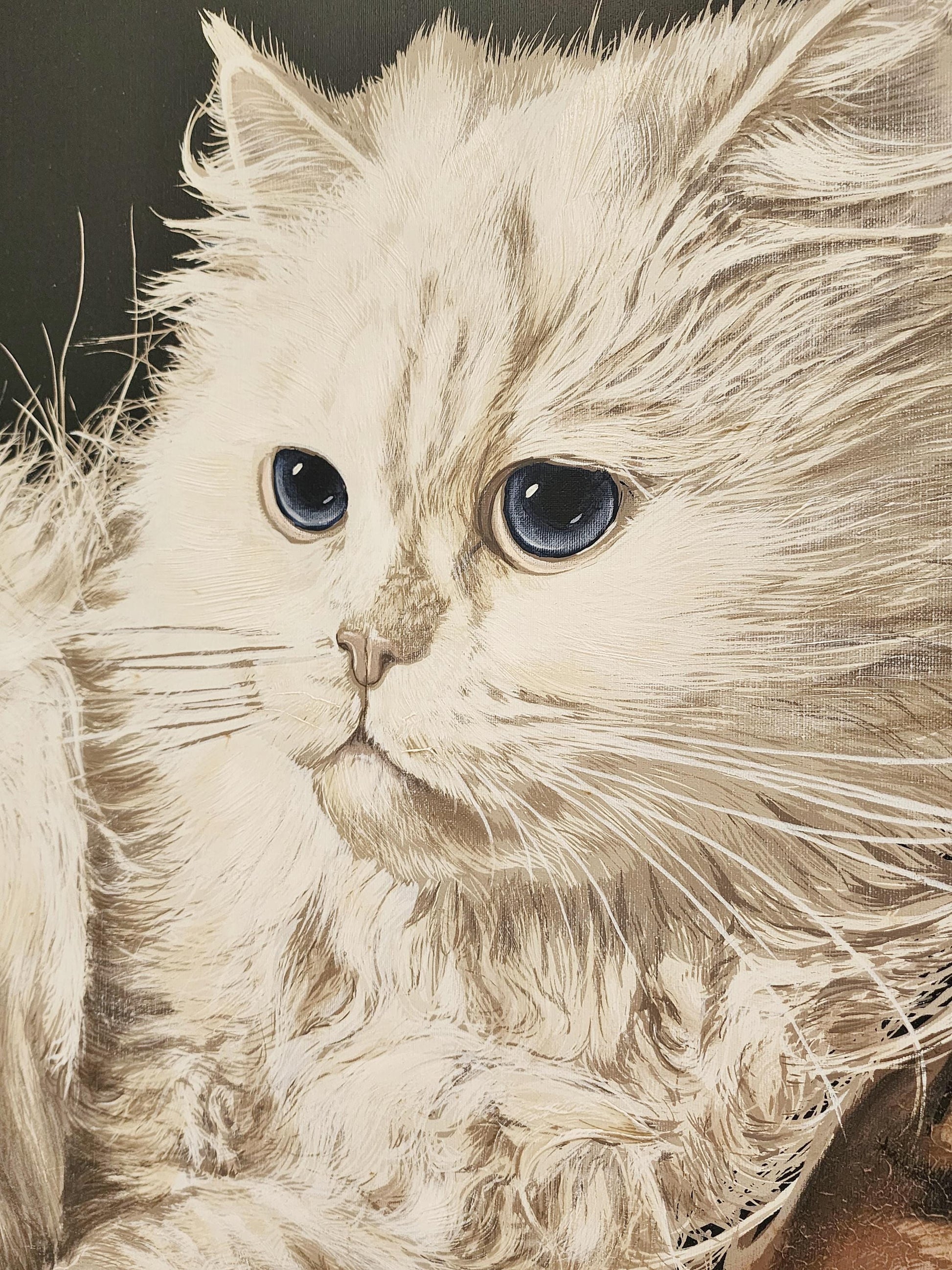 closeup letterman cat art
