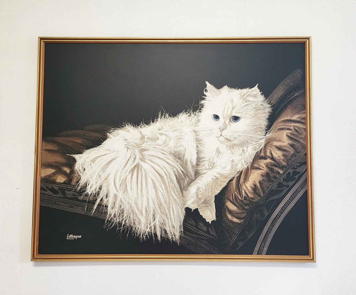 letterman the resting cat-ship or pickup